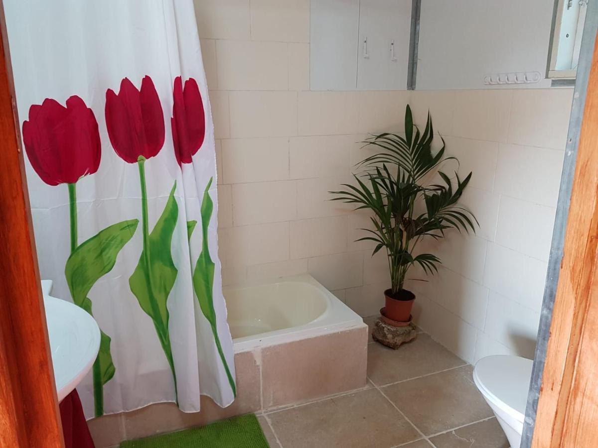 Apartmán יורט מונגולי Matzuva Exteriér fotografie